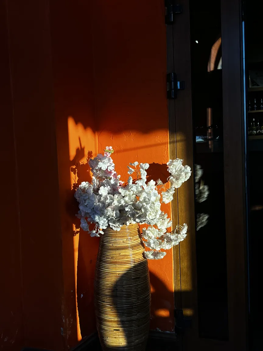 Мобилограф