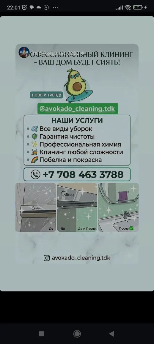 Avokado_cleaning.tdk